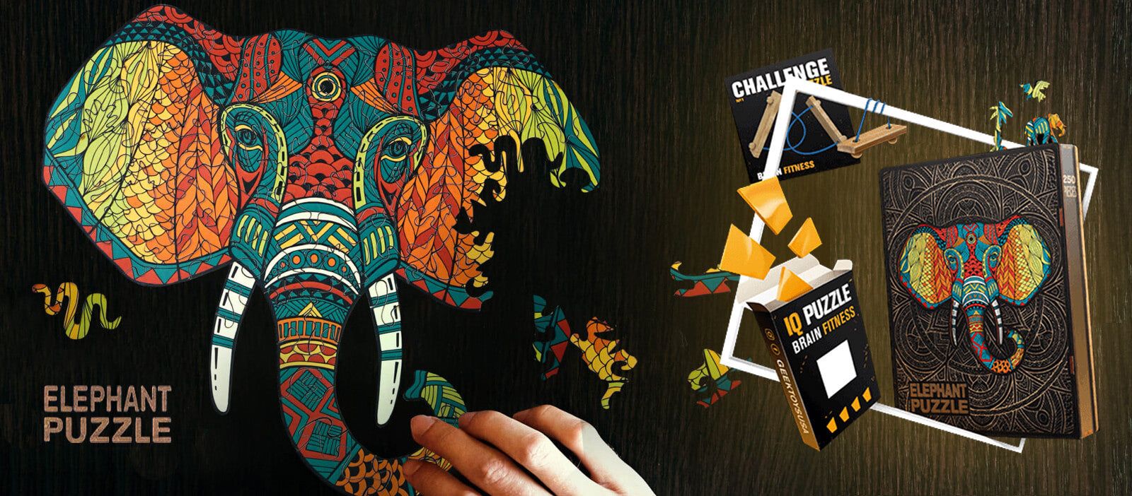 Colourful wooden puzzles and IQ Puzzle boxes