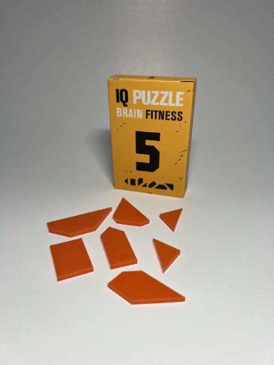 Number 5 IQ Puzzle