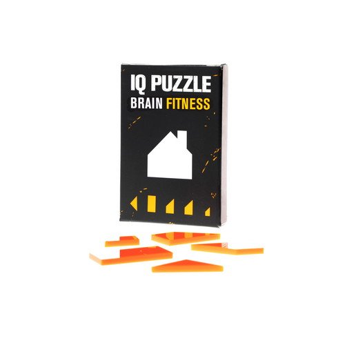 House IQ Puzzle