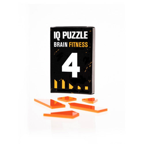 Number 4 IQ Puzzle