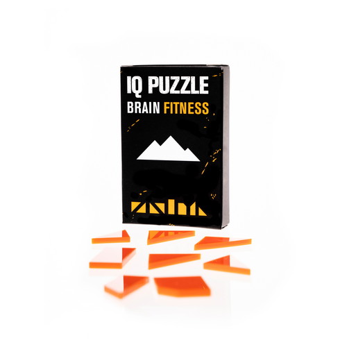 Pyramids IQ Puzzle